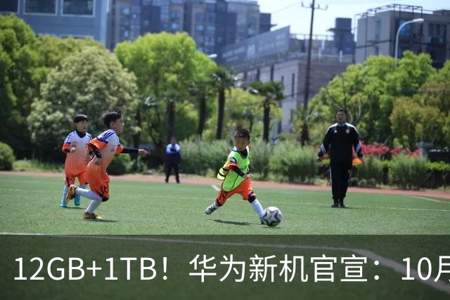 12GB+1TB！华为新机官宣：10月28日，全新登场